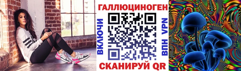 Псилоцибиновые грибы мицелий  Купить  Макаров 